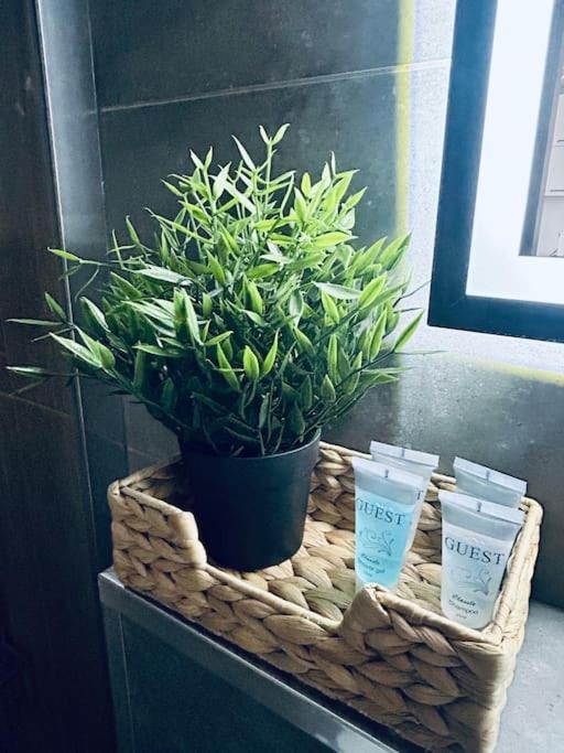 Apartament Stary Stettin Eksteriør billede