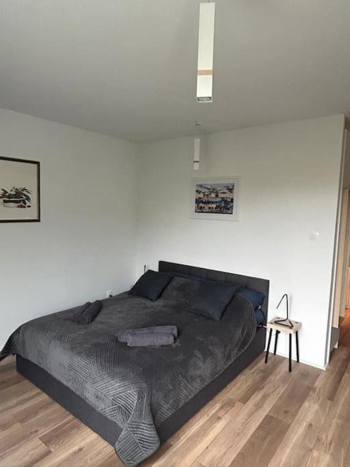 Apartament Stary Stettin Eksteriør billede