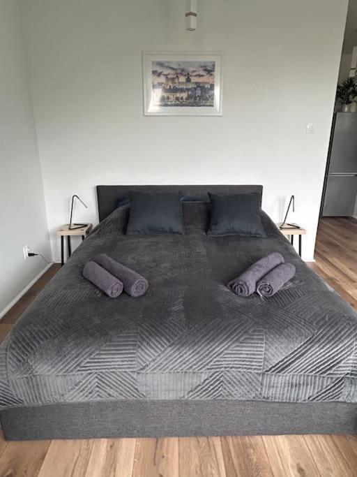 Apartament Stary Stettin Eksteriør billede